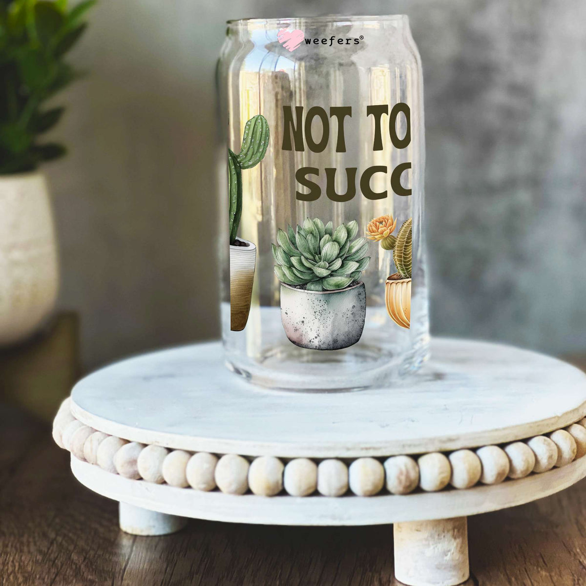 Not Today Succa Cactus 16oz Libbey Glass Can UV DTF or Sublimation Decal Transfer Weefers