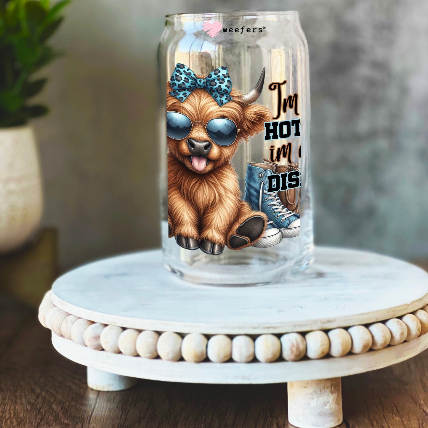 I'm Not a Hot Mess I'm a Spicy Disaster 16oz Libbey Glass Can UV DTF or Sublimation Wrap Decal Transfer Weefers
