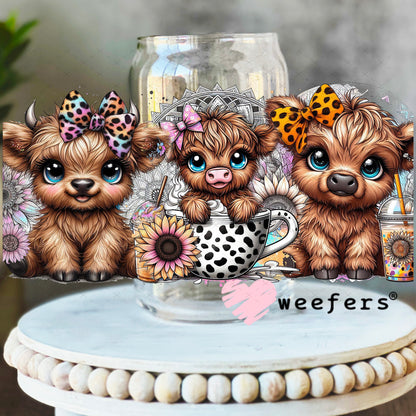 UV DTF Cup Wrap – Cutie Baby Highland Cows in a tea cup 16oz Libbey Glass Original Size Weefers