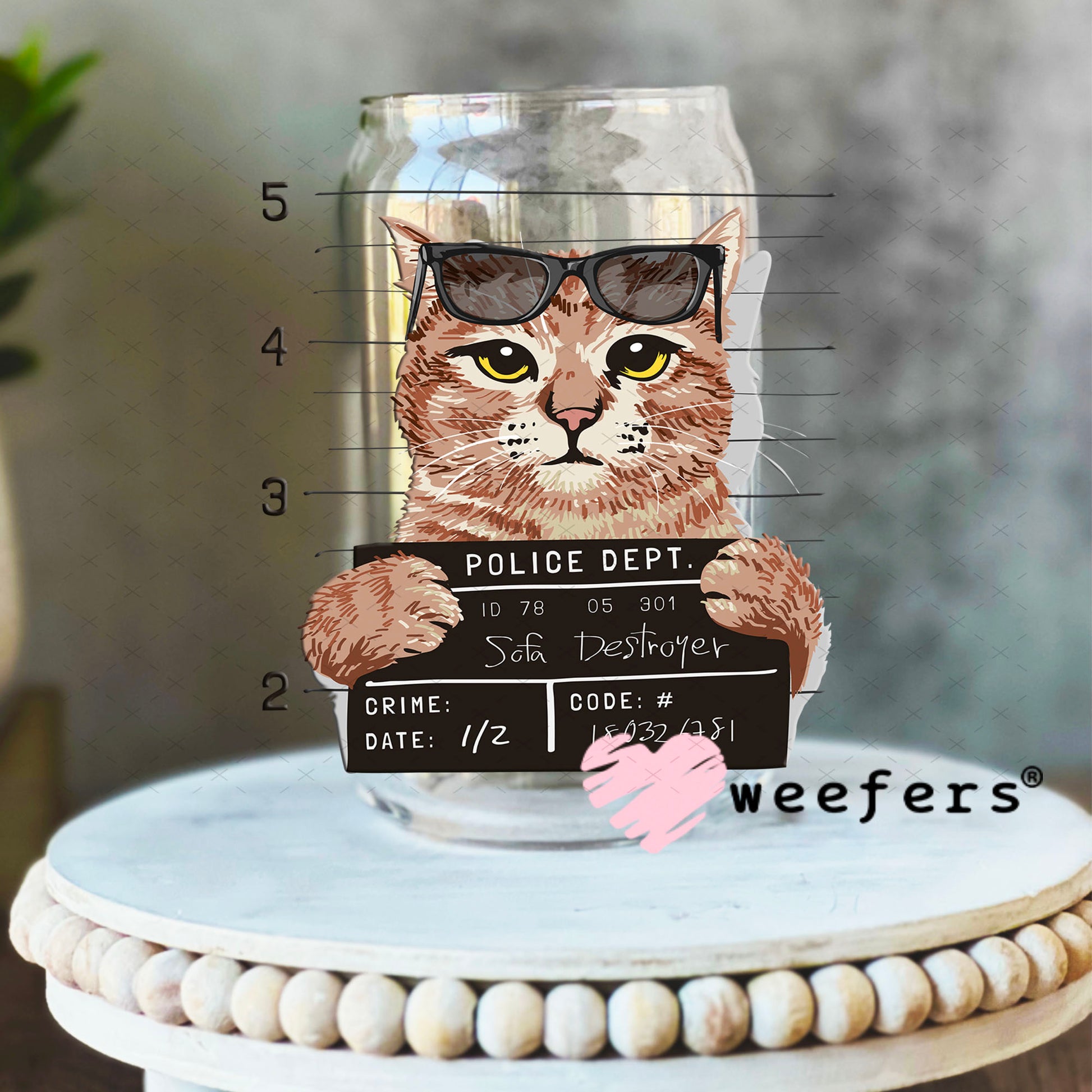 UV DTF Decal - Cat Mug Shot Sofa Destroyer 16oz Libbey Glass Original Size Weefers
