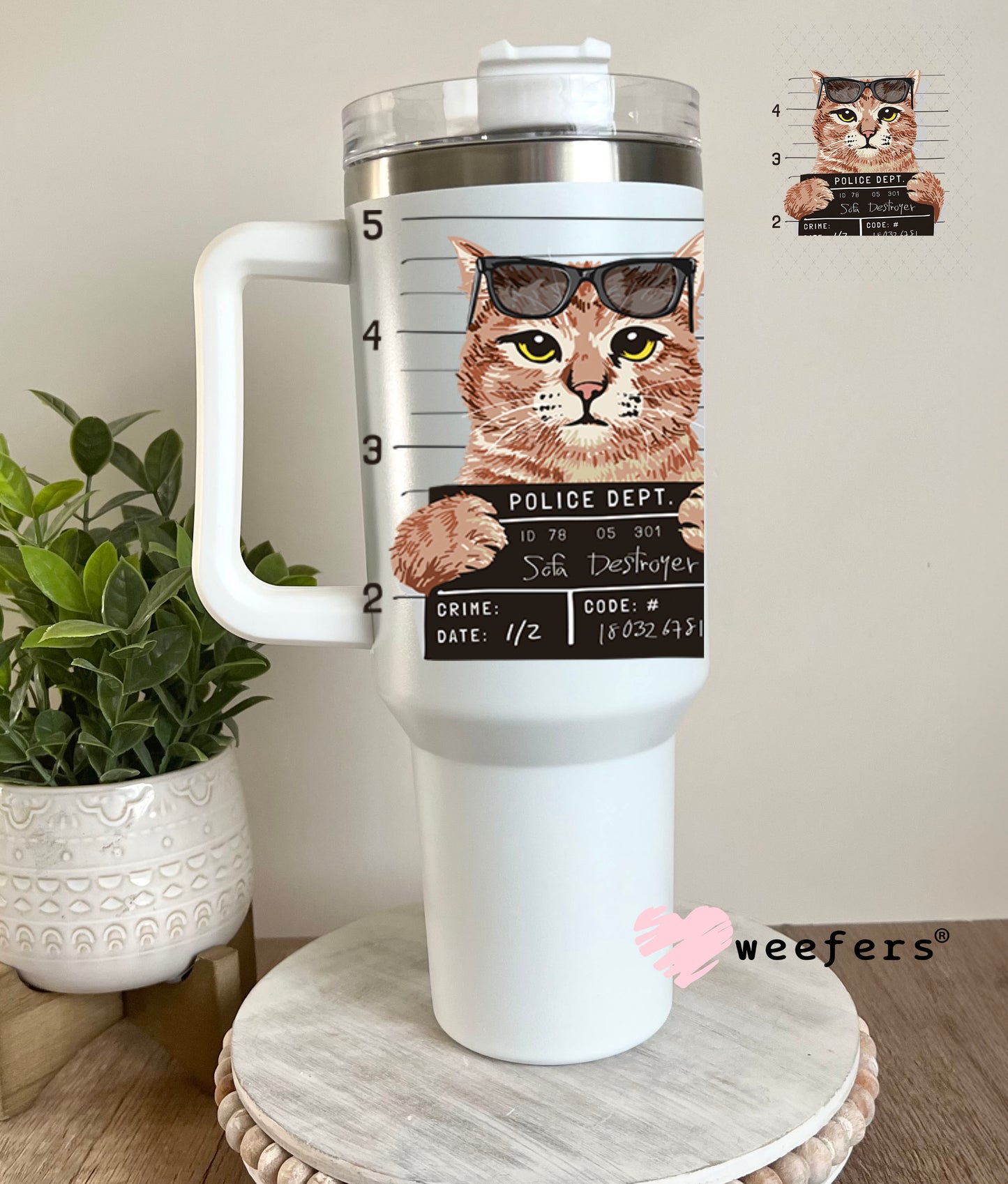 UV DTF Decal - Cat Mug Shot Sofa Destroyer 40oz Tumbler Decal Weefers