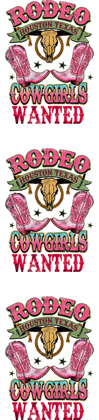 Rodeo Houston Texas Cowgirls Wanted UV DTF Decal Bookmark Weefers