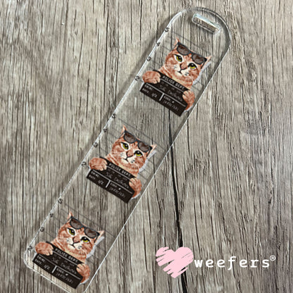 UV DTF Decal - Cat Mug Shot Sofa Destroyer Bookmark Weefers