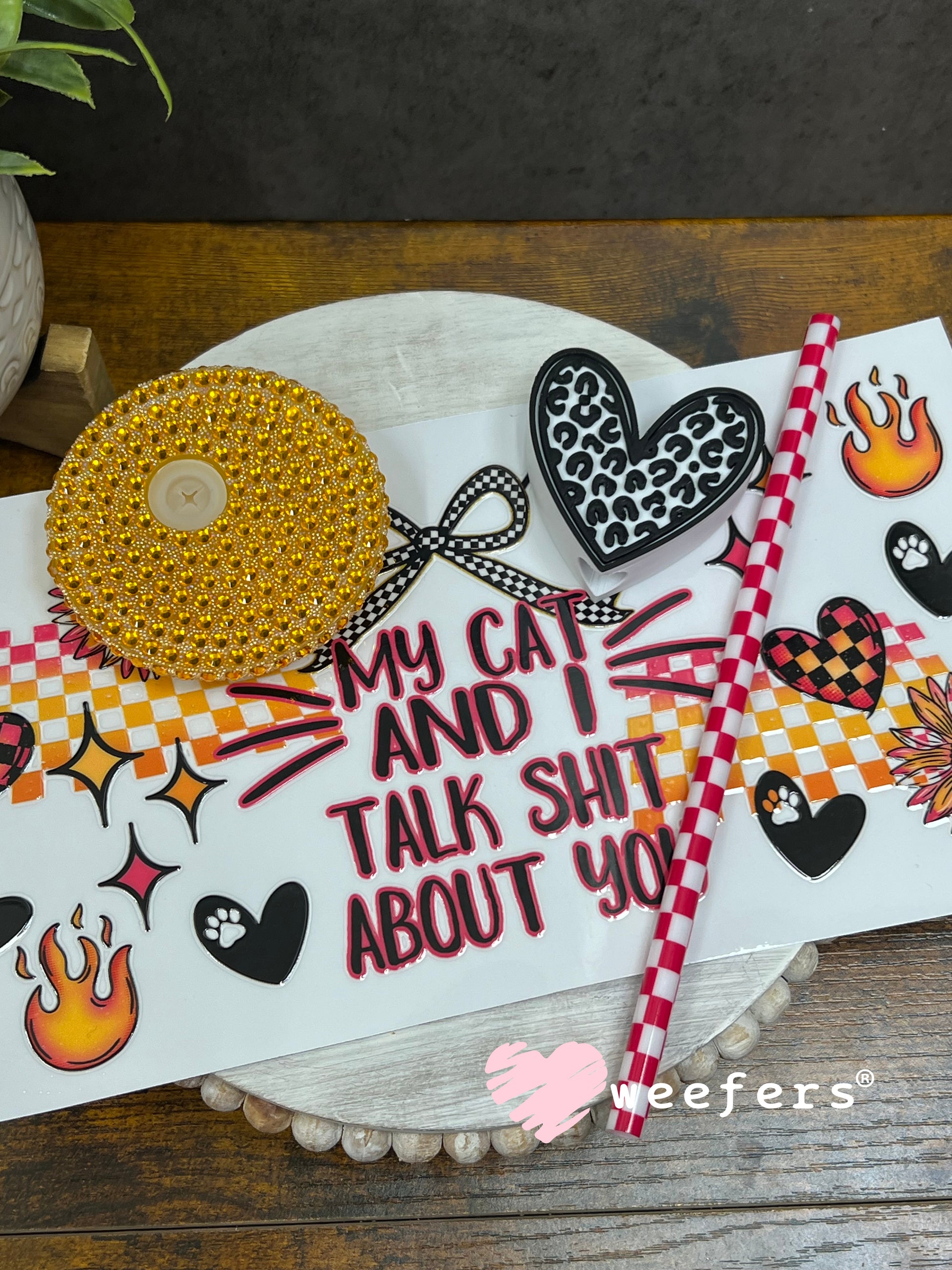 16oz Generic Glass Can Cups UV DTF Kits #78 - My Cat and I talk Sh$t About You Weefers