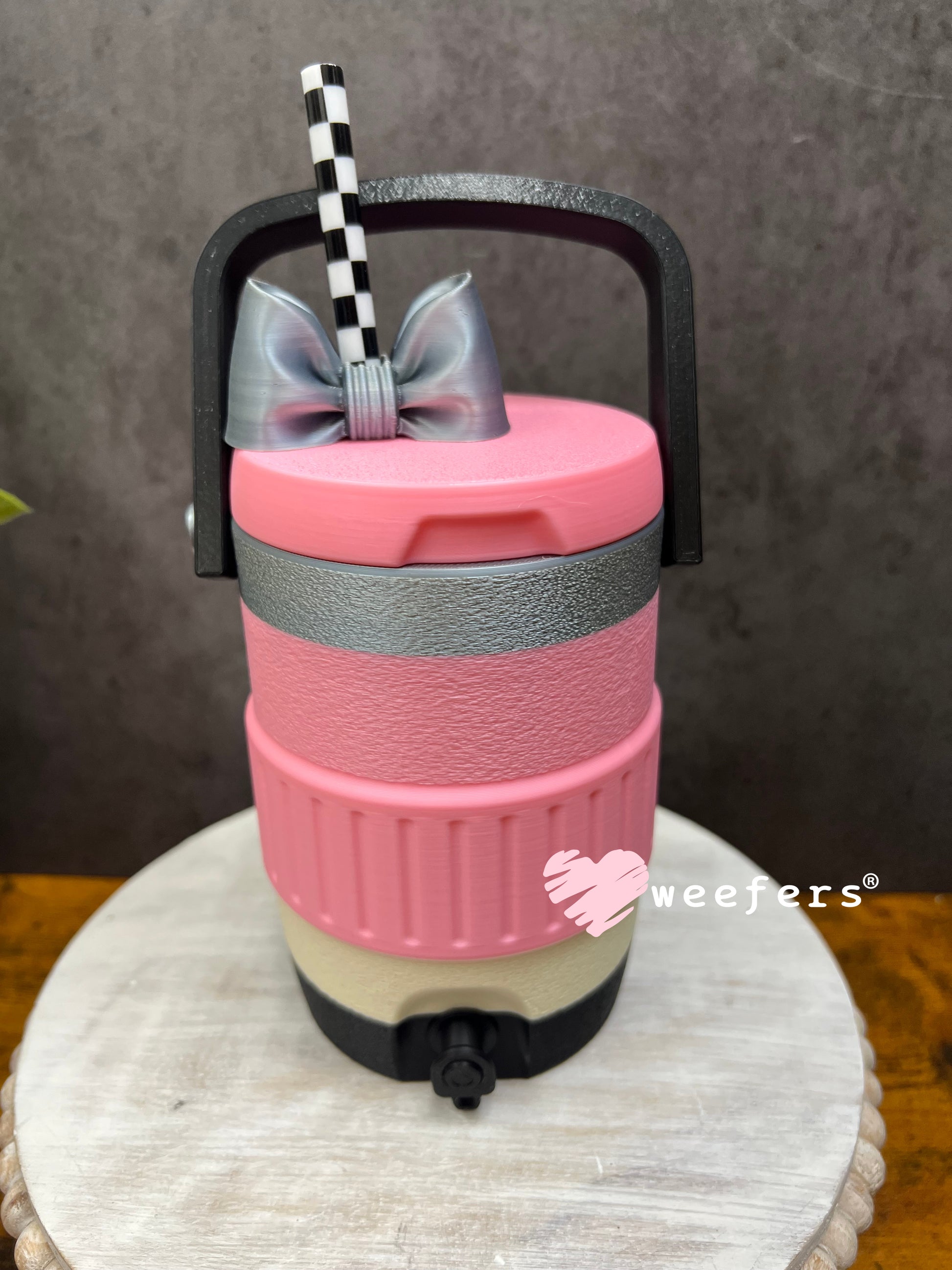 PINK - Pencil Teacher Jug Can Cooler – Cute Teacher Soda Holder with Handle Weefers