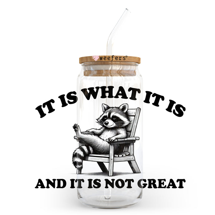 a raccoon sitting in a chair with a straw in it's mouth