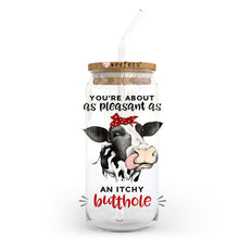 Load image into Gallery viewer, You are about as pleasant as an itchy butthole 20oz Libbey Glass Can, 34oz Hip Sip, 40oz Tumbler UVDTF or Sublimation Decal Transfer
