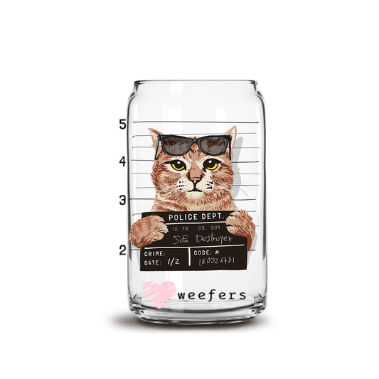 Cat Mug Shot 16oz Libbey Glass Can UV DTF or Sublimation Cup Wrap - Decal Transfer Weefers