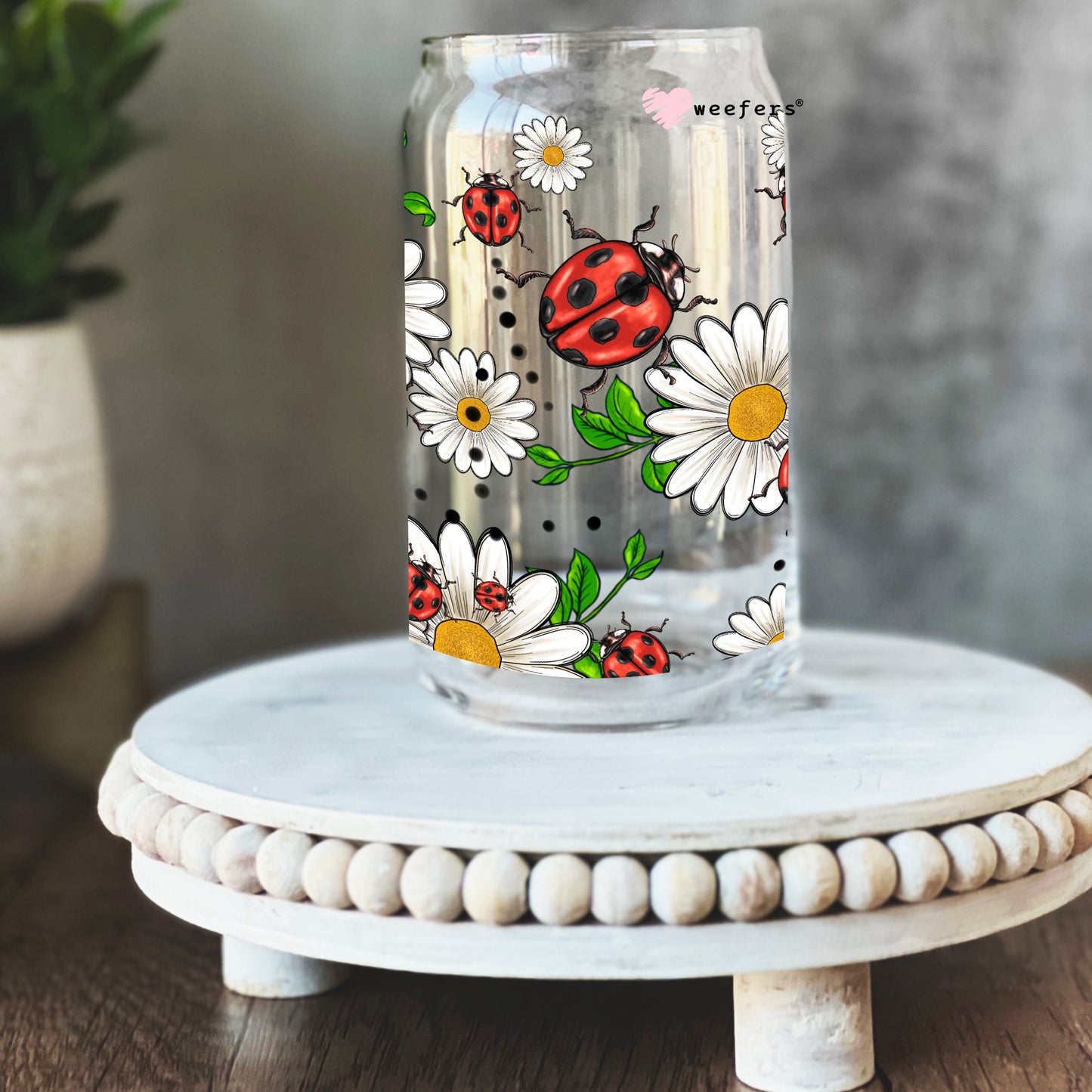 Daisies and Lady Bugs 16oz Libbey Glass Can UV DTF or Sublimation Wrap - Decal - Weefers